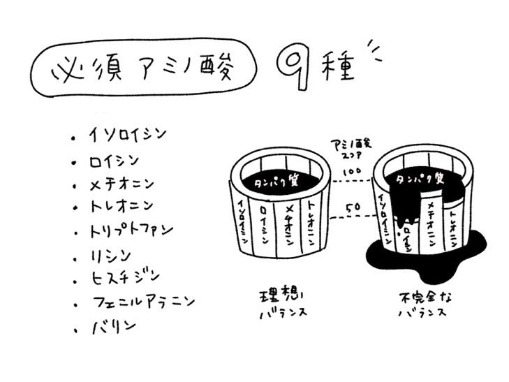 ZENBヌードル アミノ酸スコア